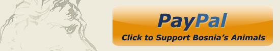 paypal_banner